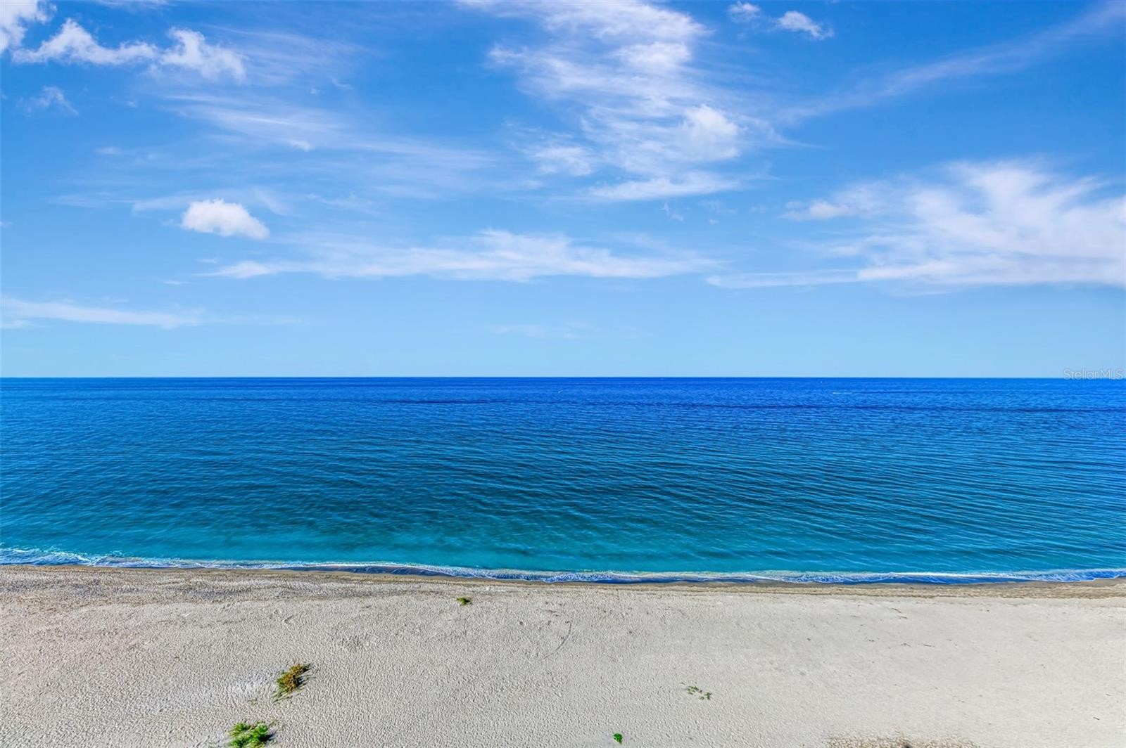 631 ALHAMBRA RD #1004