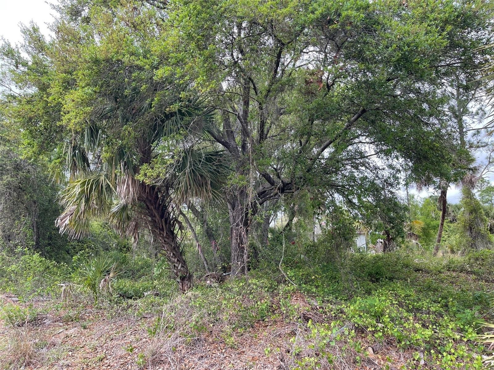 Lot 15 ANANAS RD