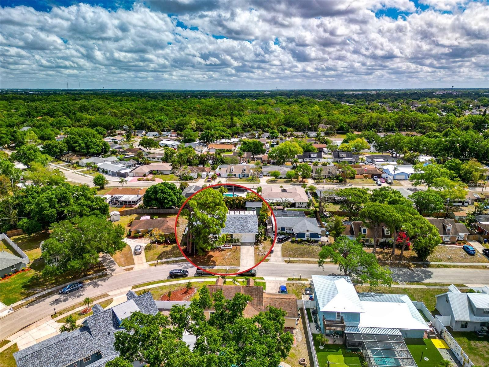 2529 GOLDEN POINCIANA PL