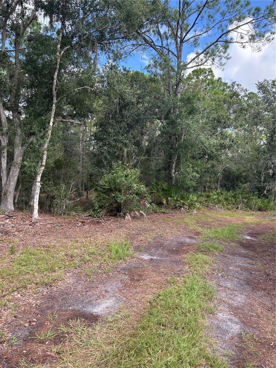 5010 WAUCHULA RD