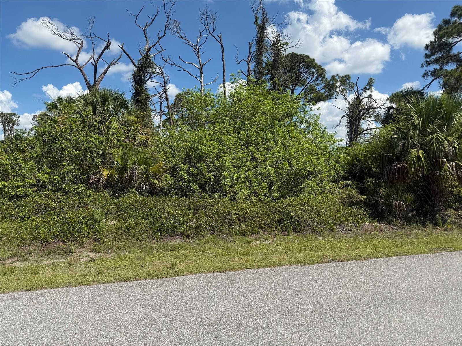FAIRLANE DR