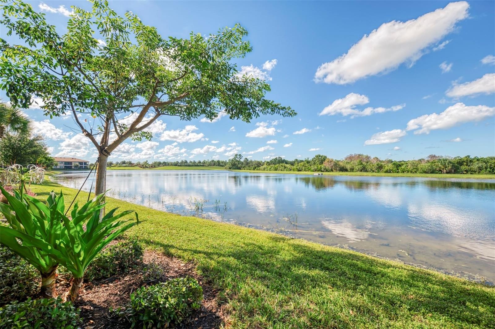 10205 STAGGERBUSH DRIVE #102
