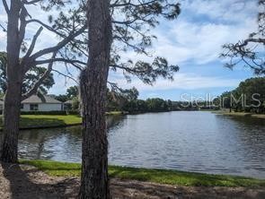 6535 MEANDERING WAY