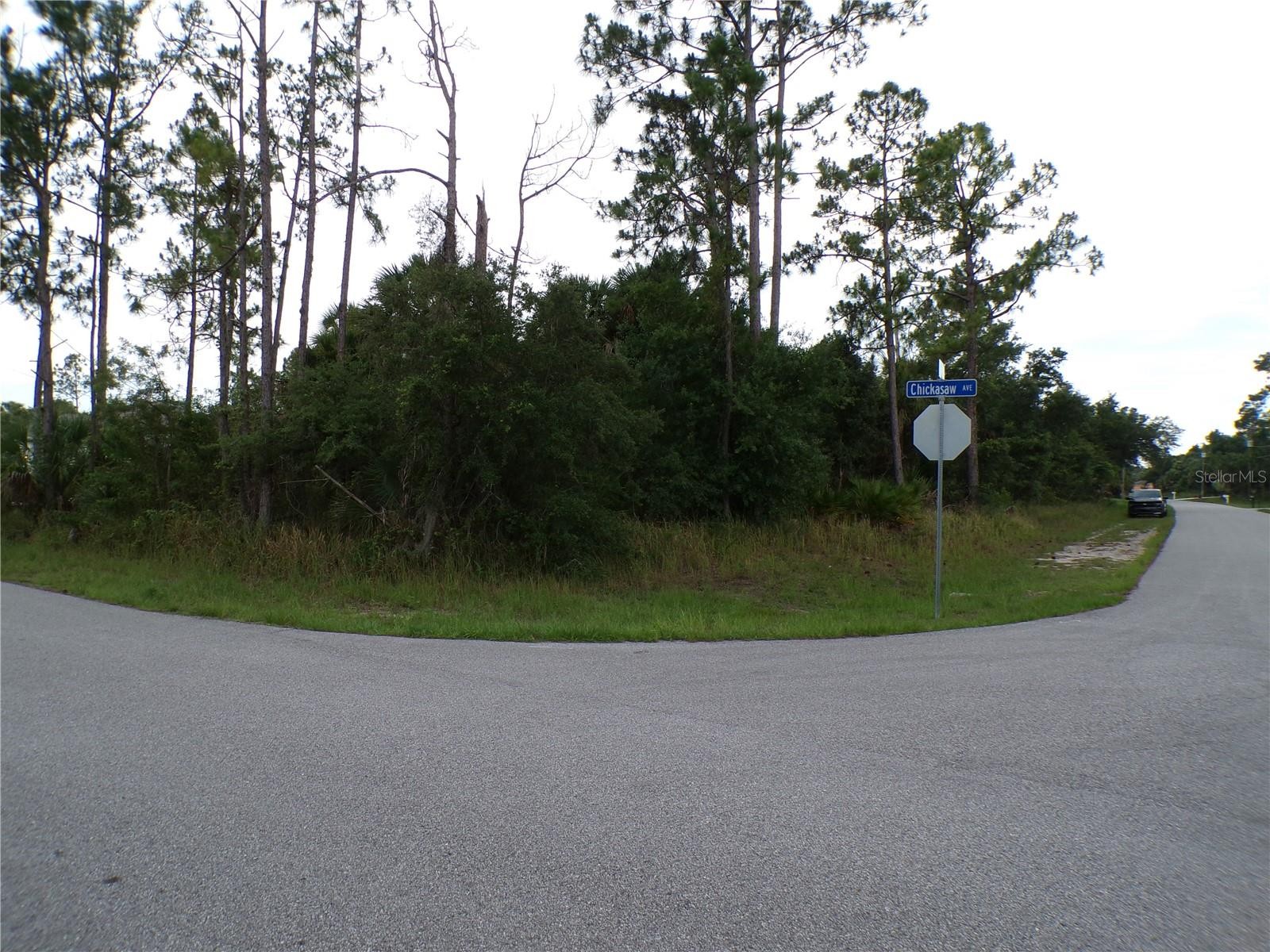 CHICKASAW AVE