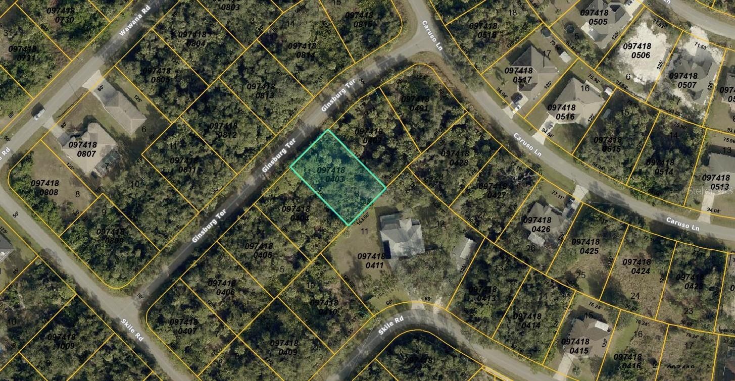 0974180403 GINSBURG TER