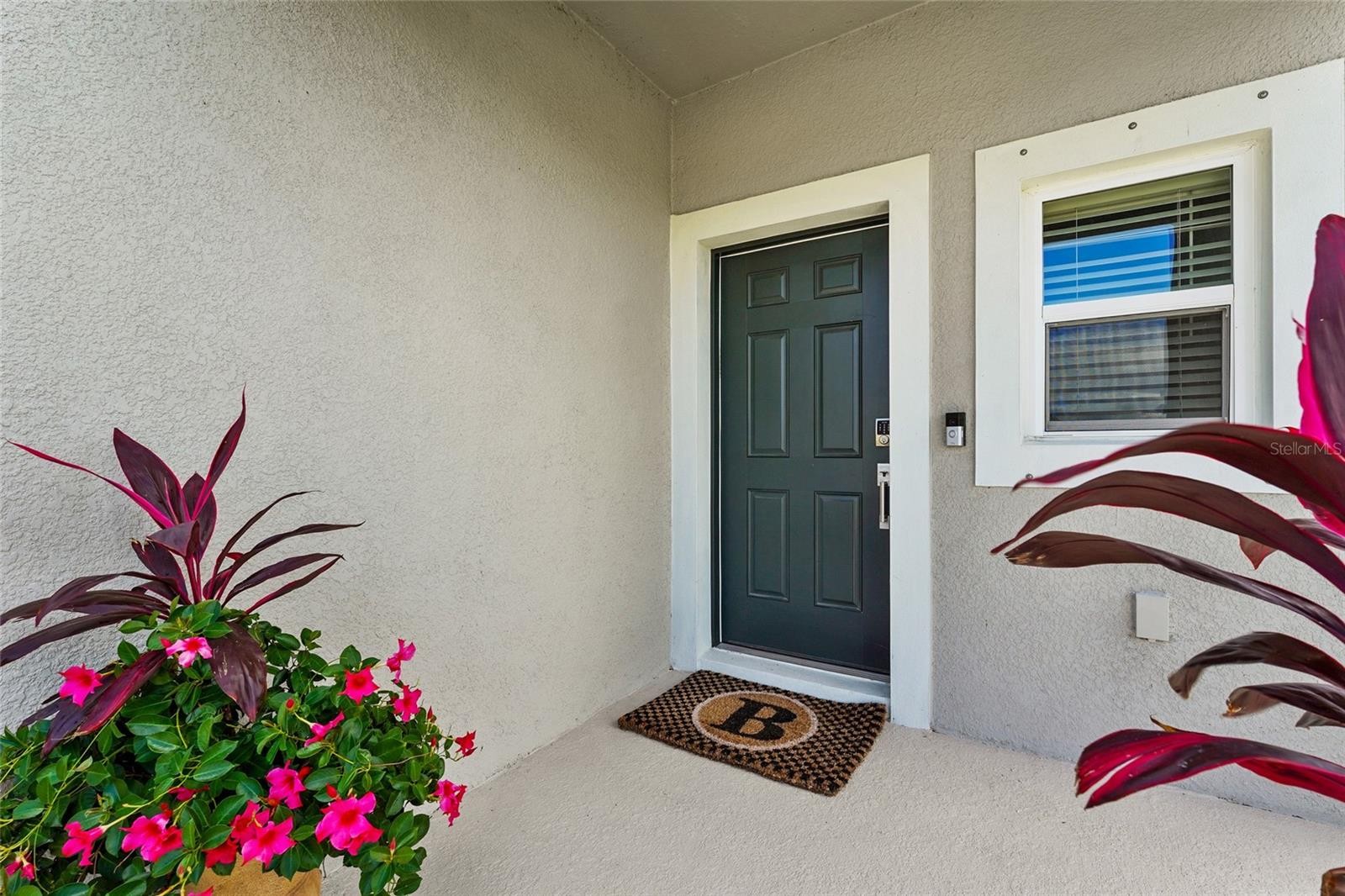 5825 BISCOTTI ST #5825