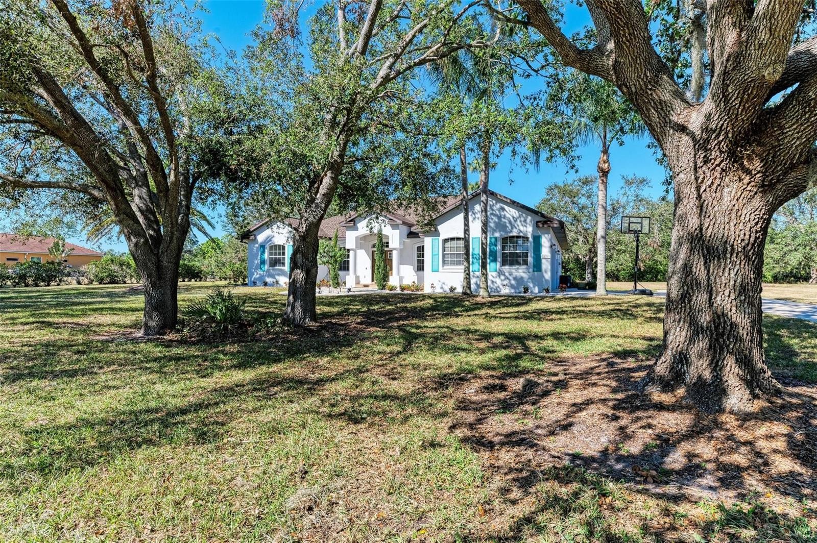 21709 DEER POINTE XING