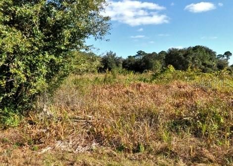 MATTOX CIR