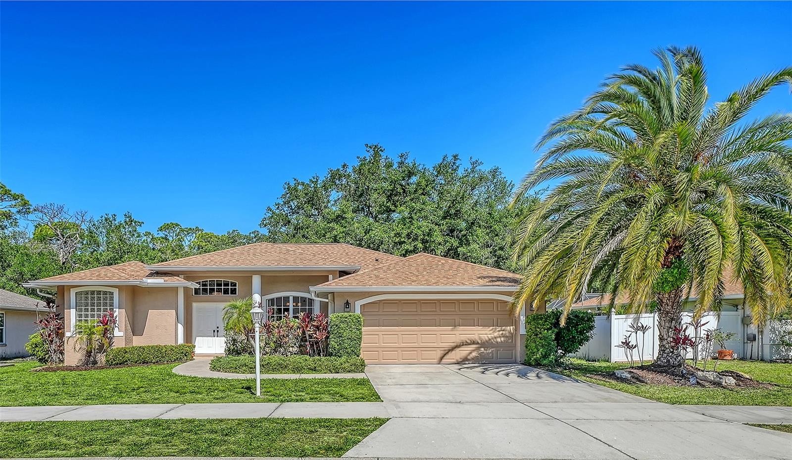 3521 BRANCH CREEK DR