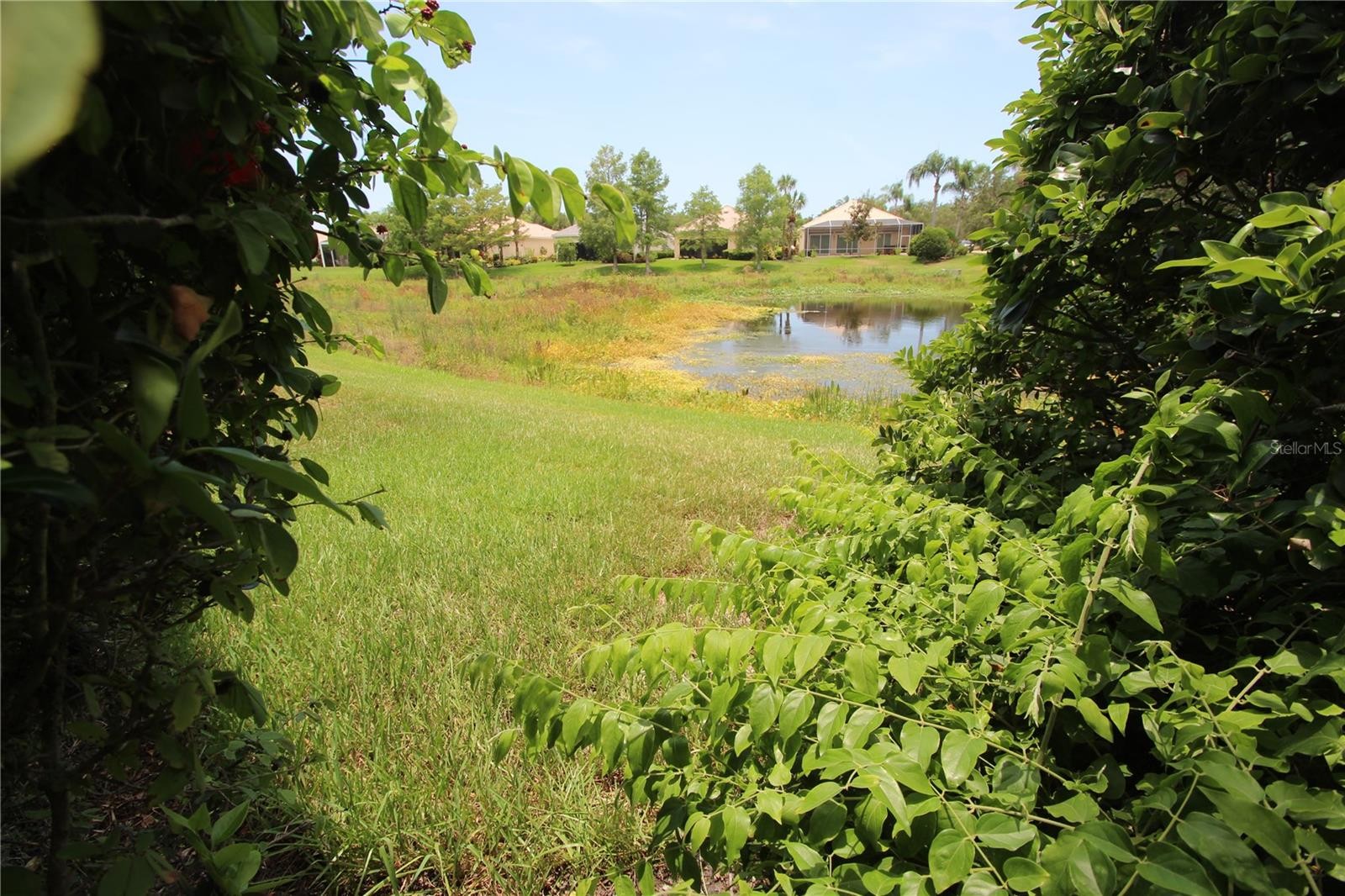 5506 MODENA PL