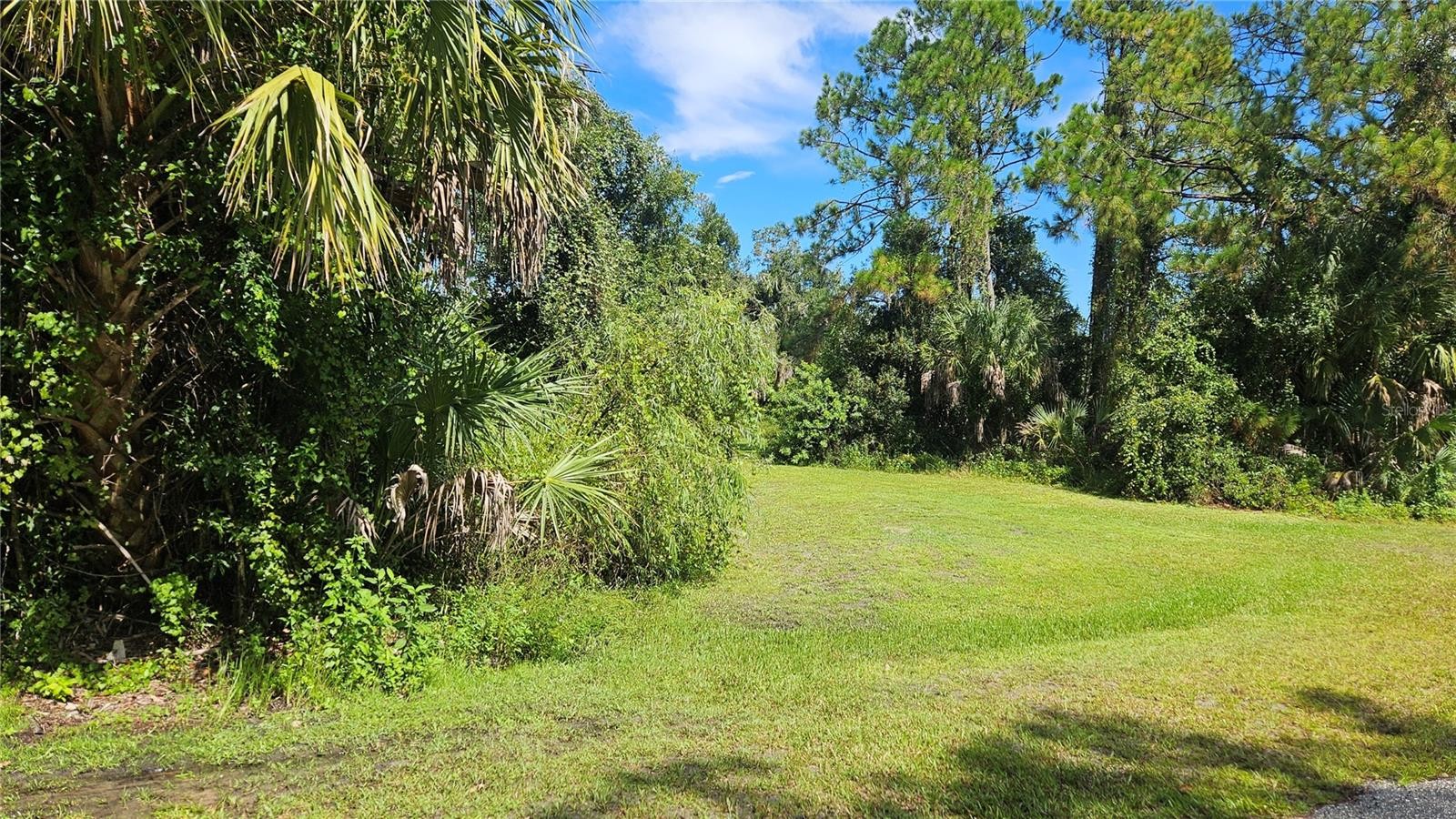 LONGWELL LOT #29 LN