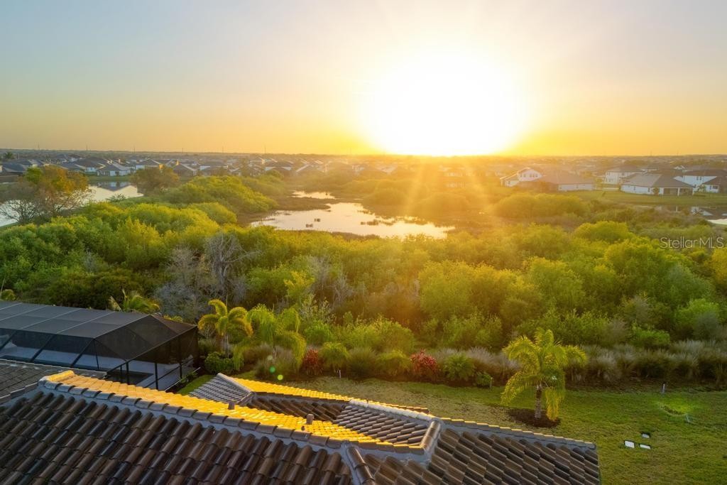 17731 SAVORY MIST CIR