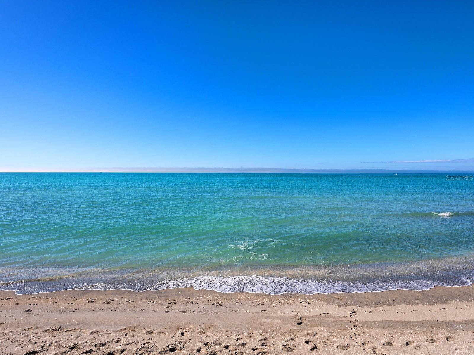 1585 TARPON CENTER DR #31