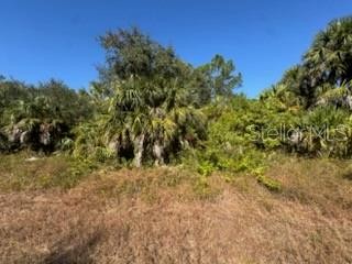 LOT 4 MATTOX CIR