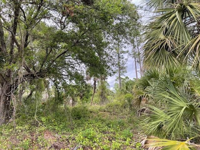 Lot 15 ANANAS RD