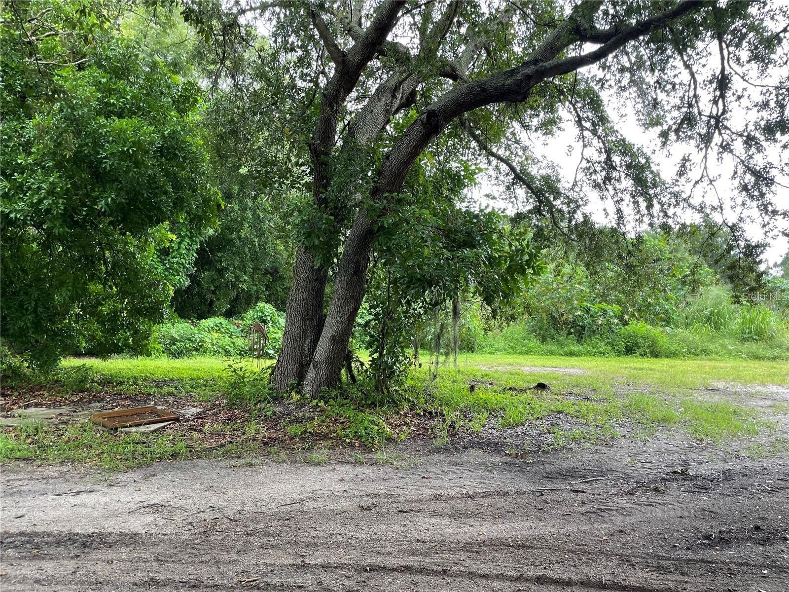 ALBEE FARM RD