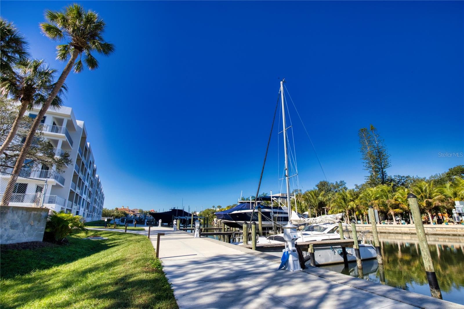 1703 N TAMIAMI TRL #203