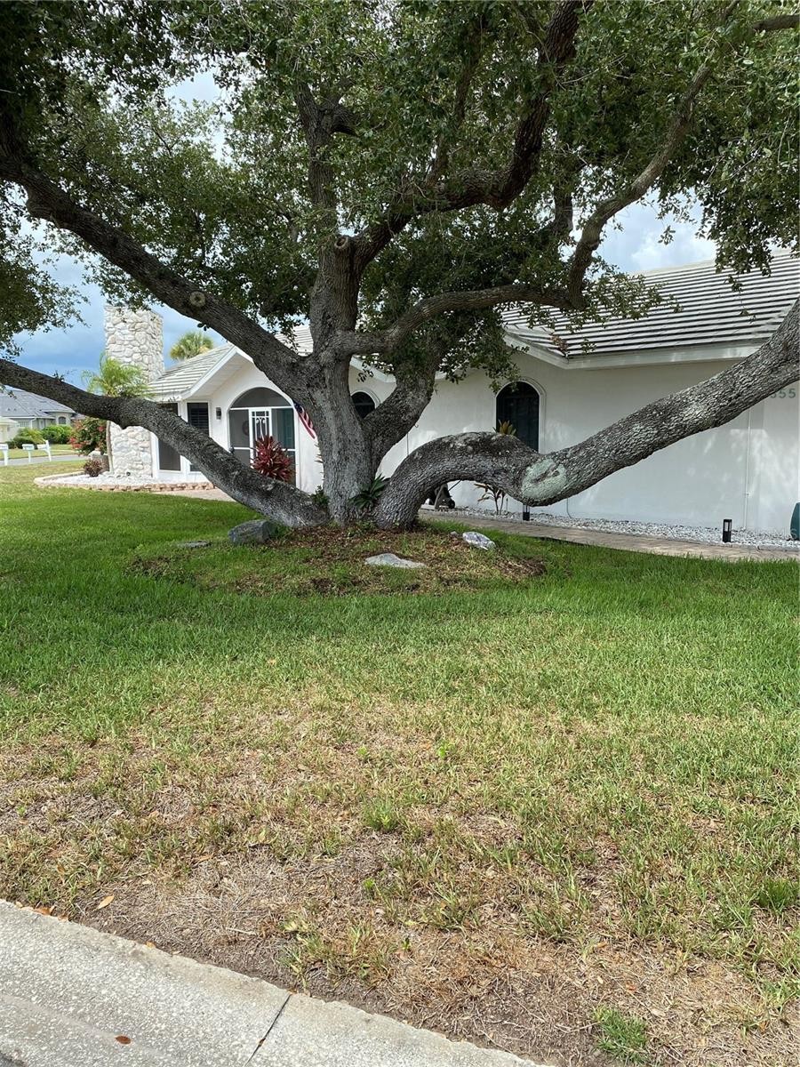 355 EDEN DR