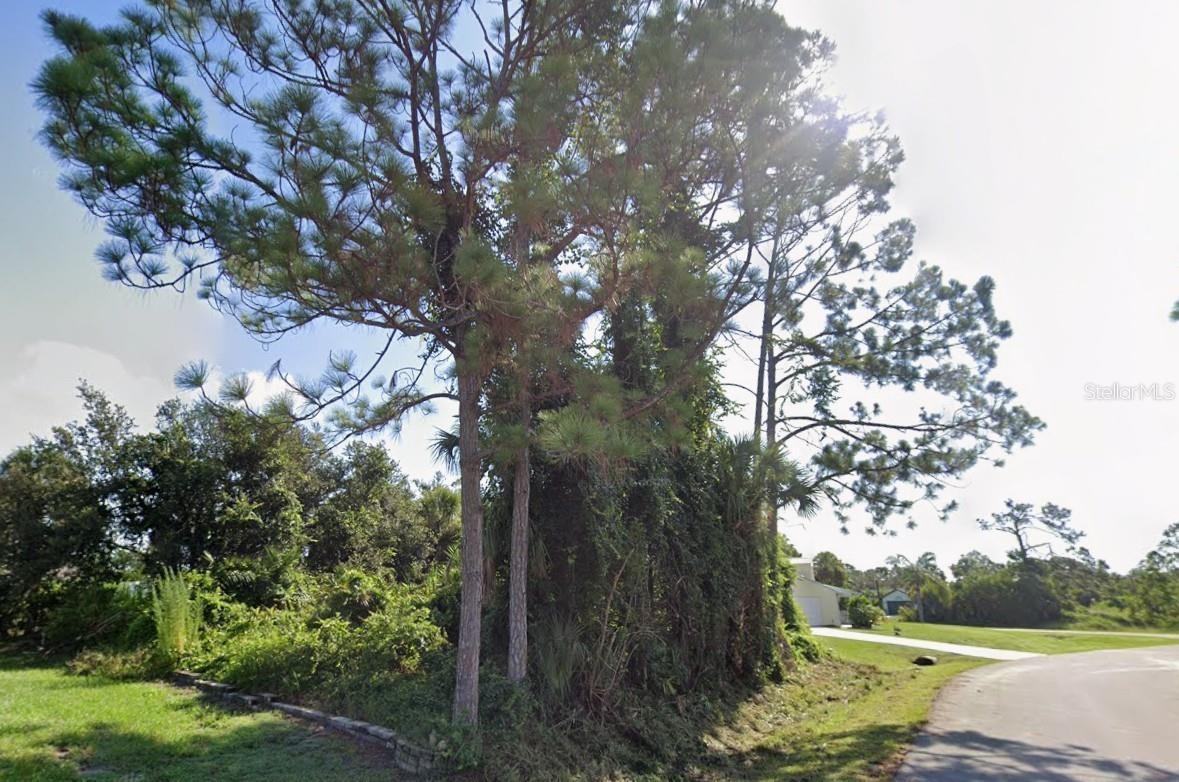 Lot 12 WARRIOR AVE