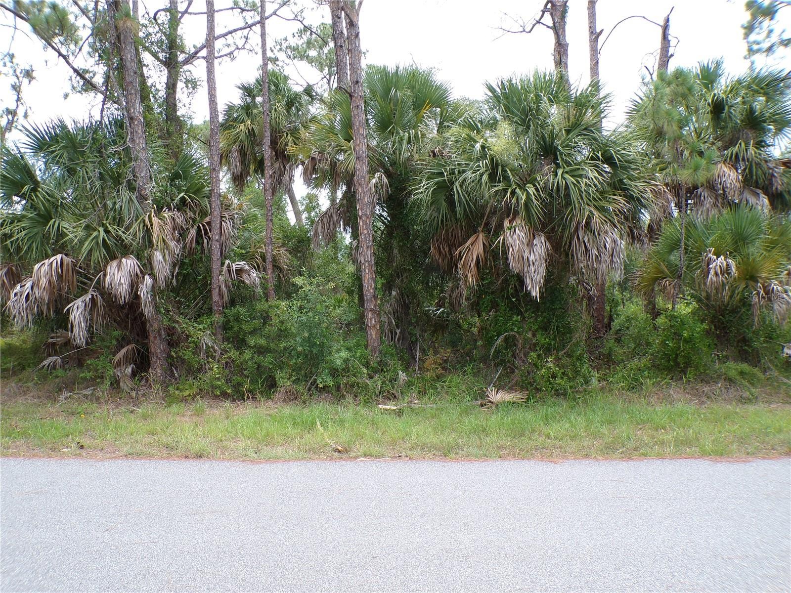 LUMMUS ST