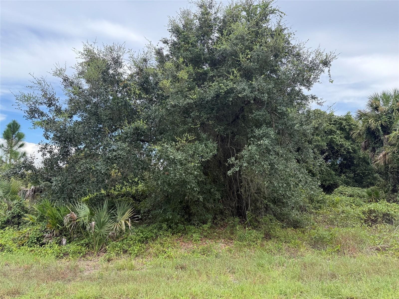 Lot 1 GASKINS CIR