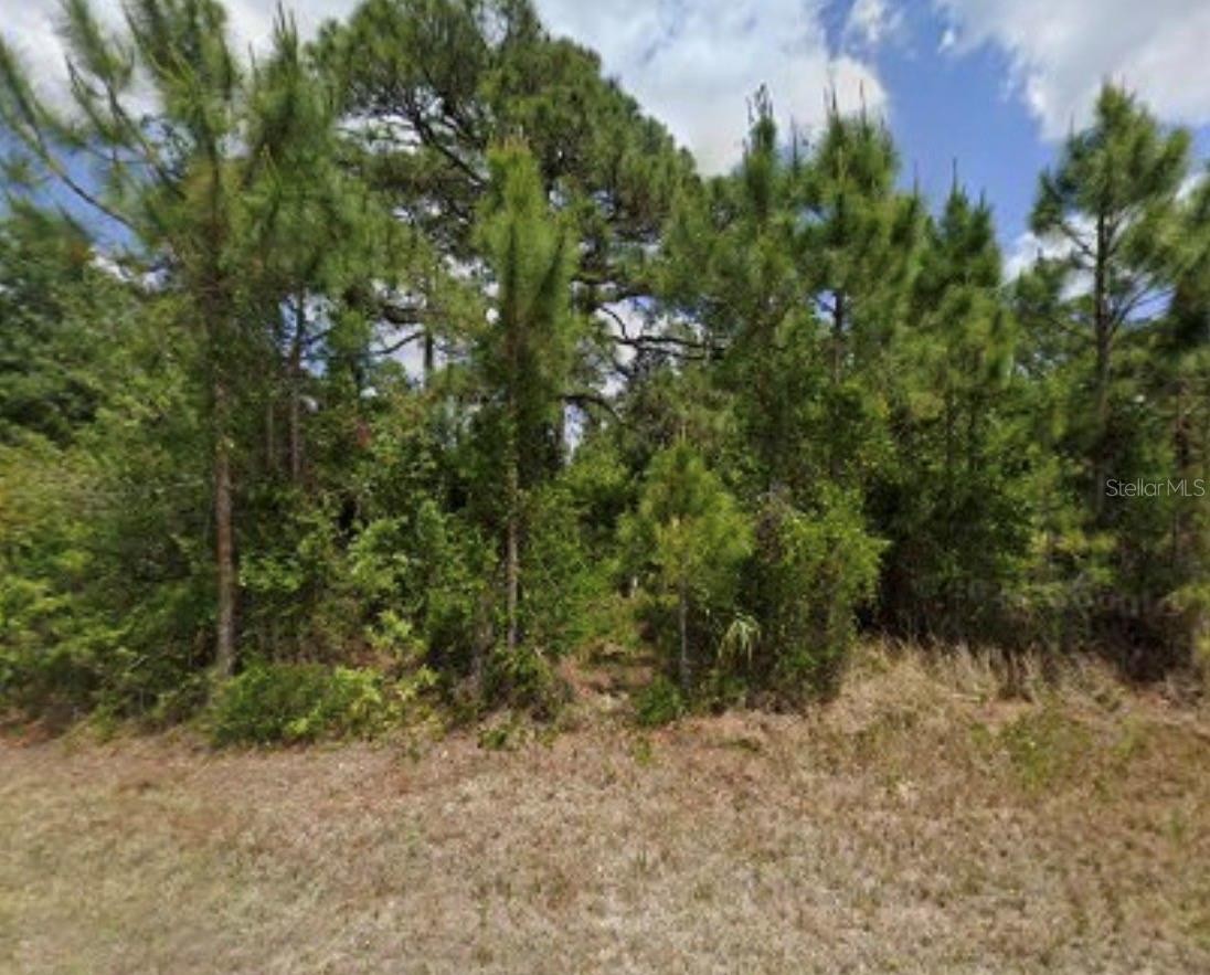 2770 ORCHARD CIR