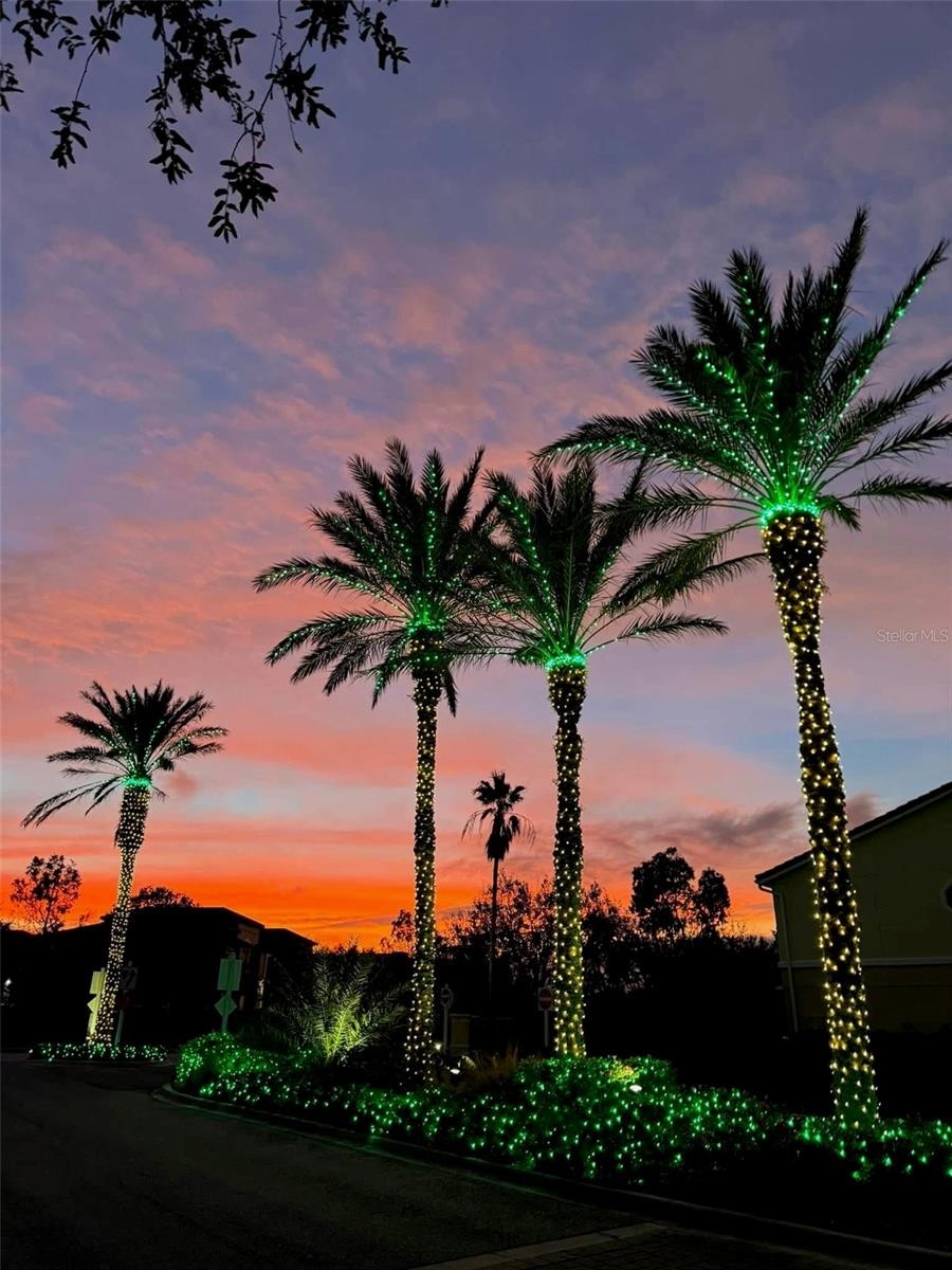 3736 82ND AVENUE CIR E #103