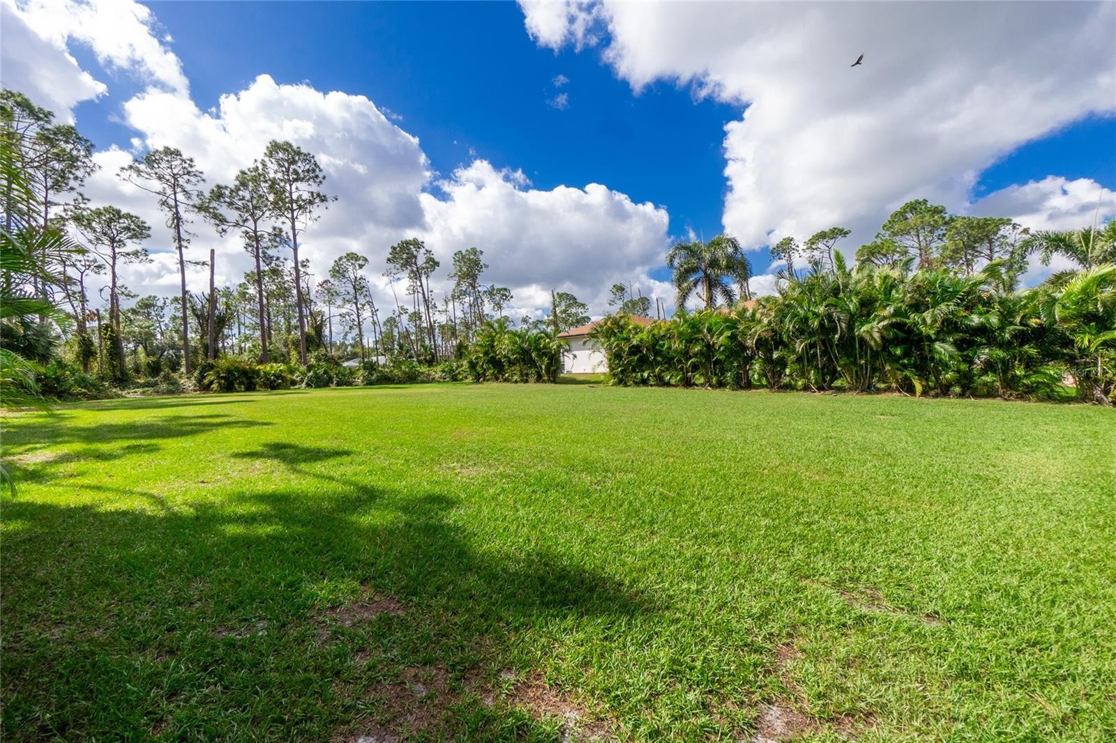 ROLLING RD & E HALLMARK BLVD