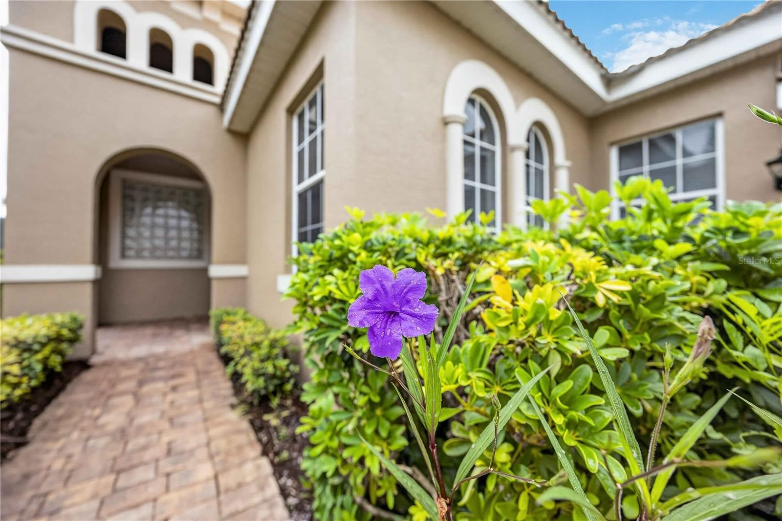170 CIPRIANI WAY
