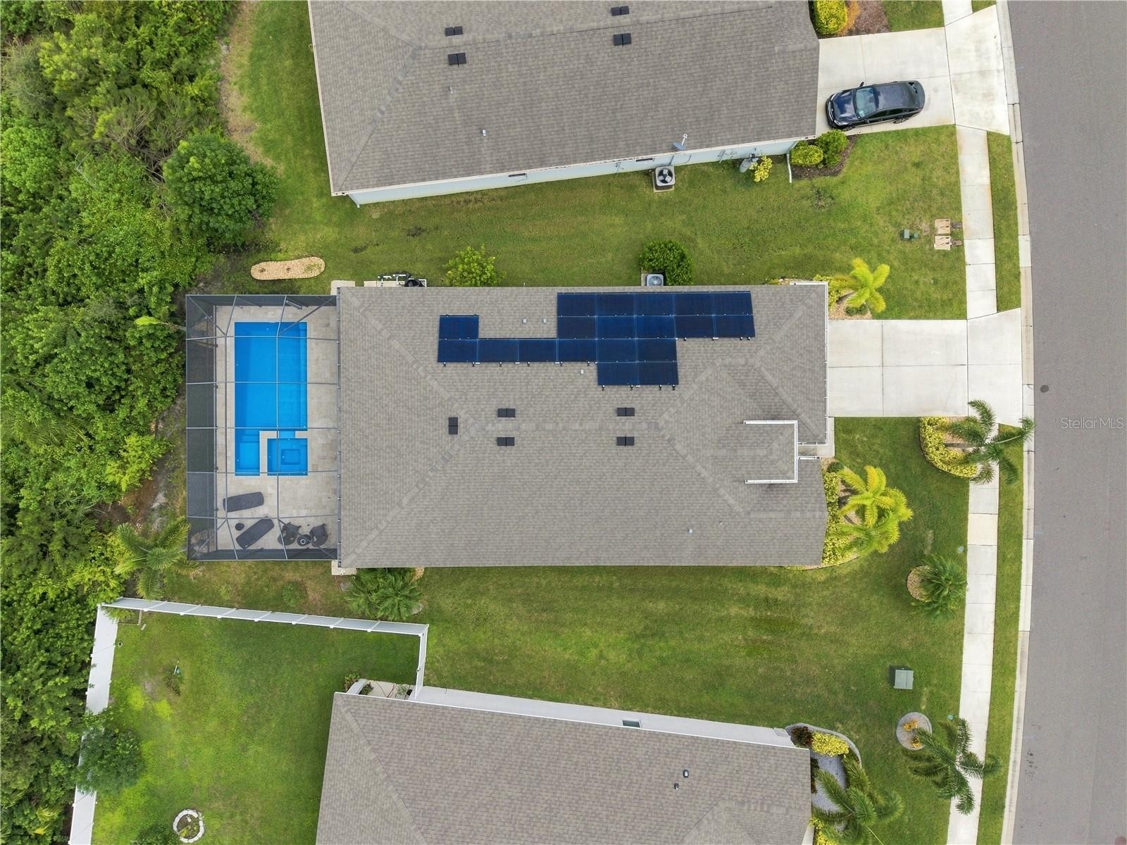 3916 MOSSY LIMB CT