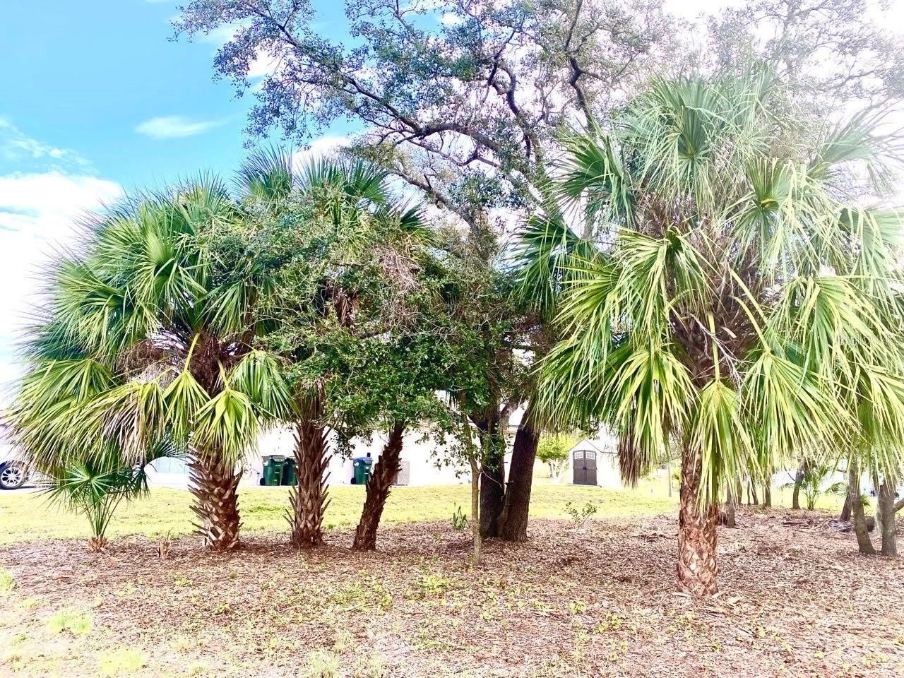 Lot 27 S Biscayne Dr North Port Florida 34287