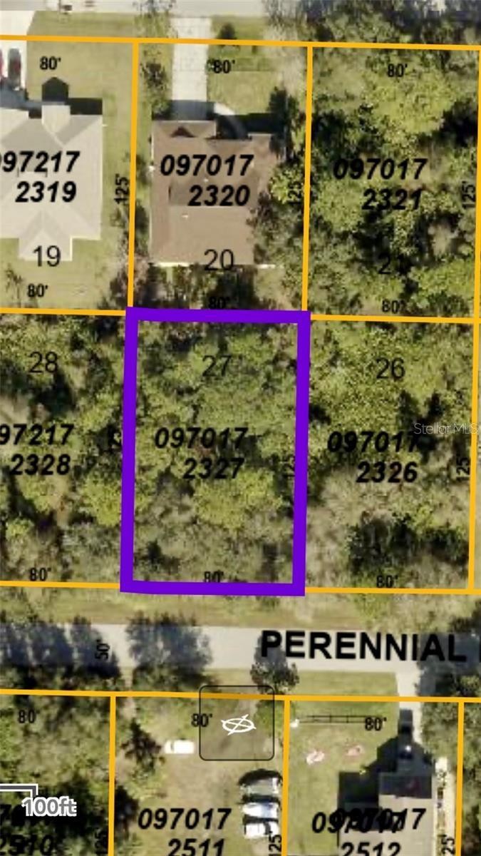 PERENNIAL RD