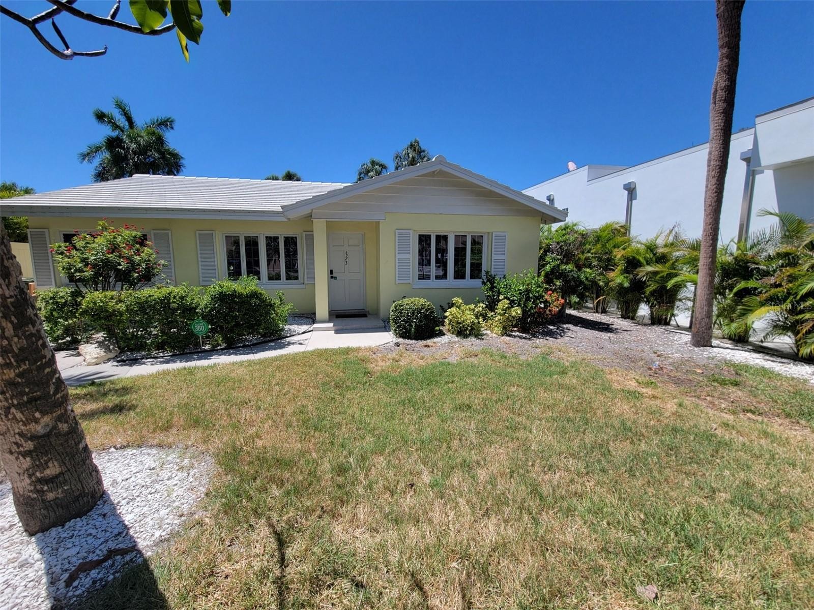 323 MADISON DR
