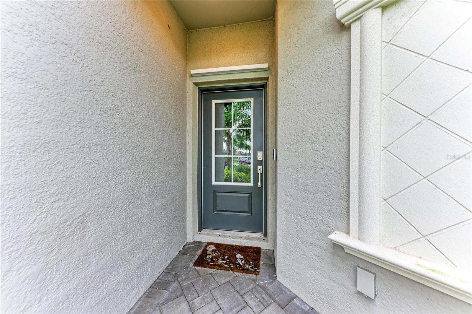 5314 WHITE SAND CV