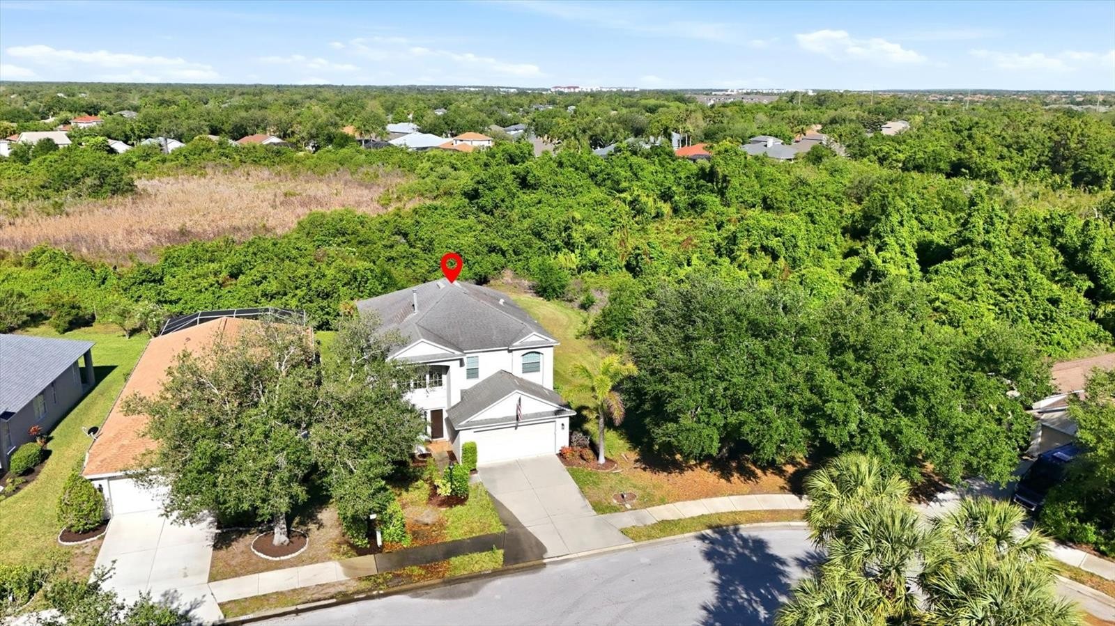 14347 GNATCATCHER TER