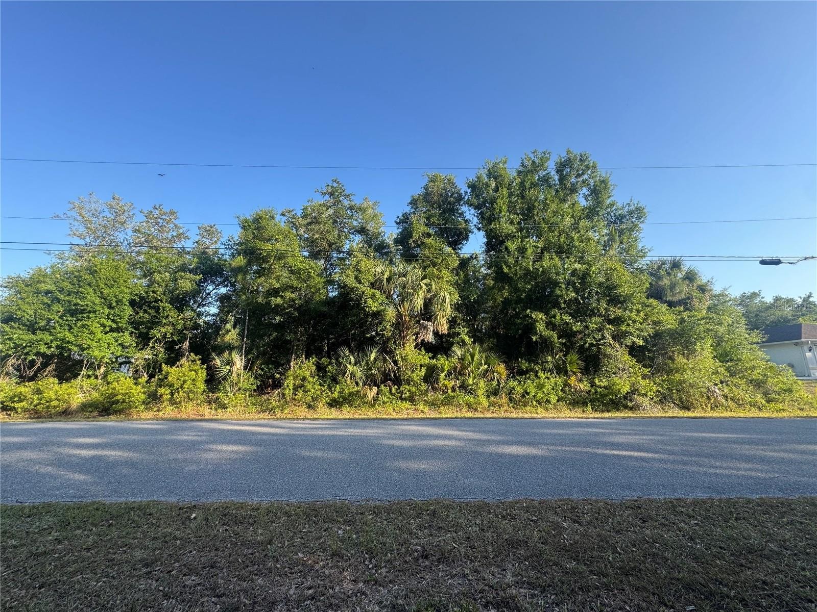 PETAL RD