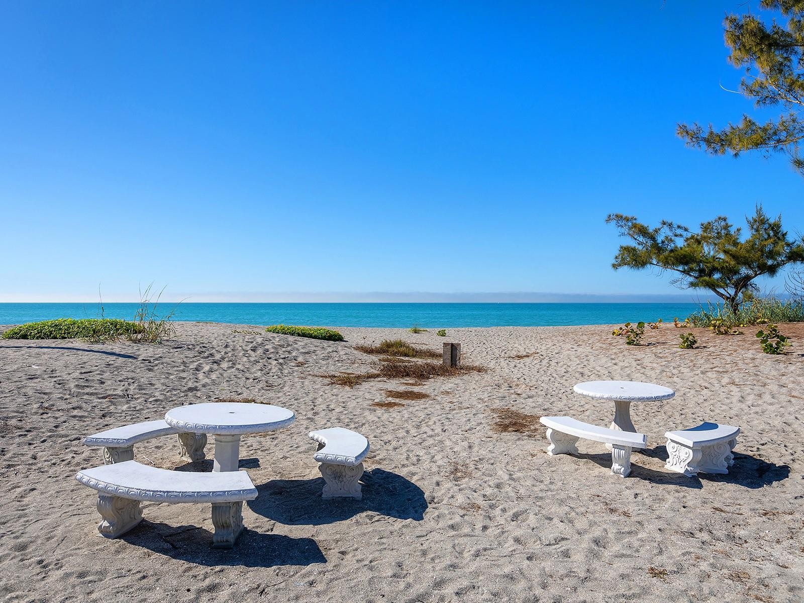 1585 TARPON CENTER DR #31