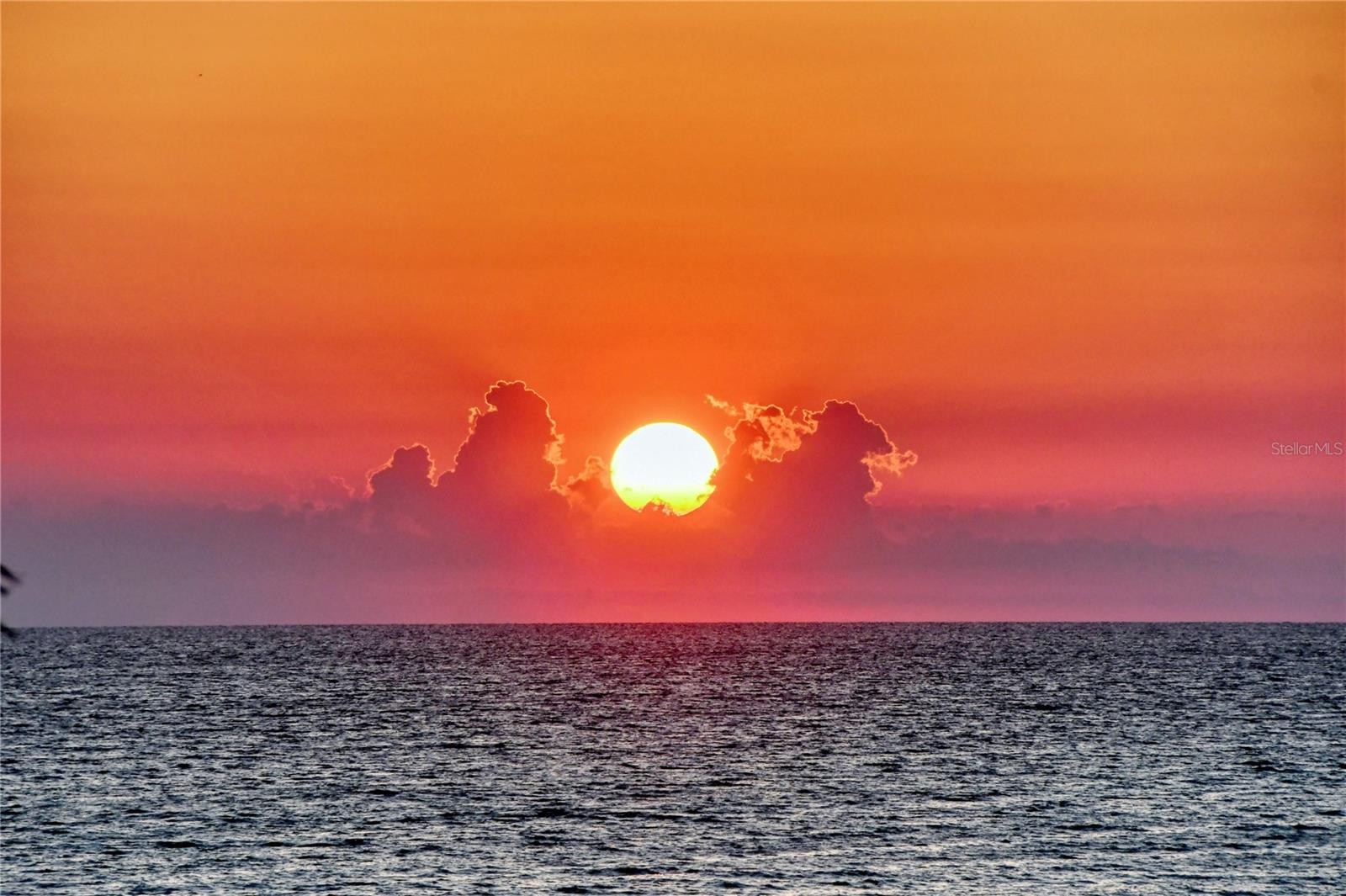 415 L AMBIANCE DR #A801