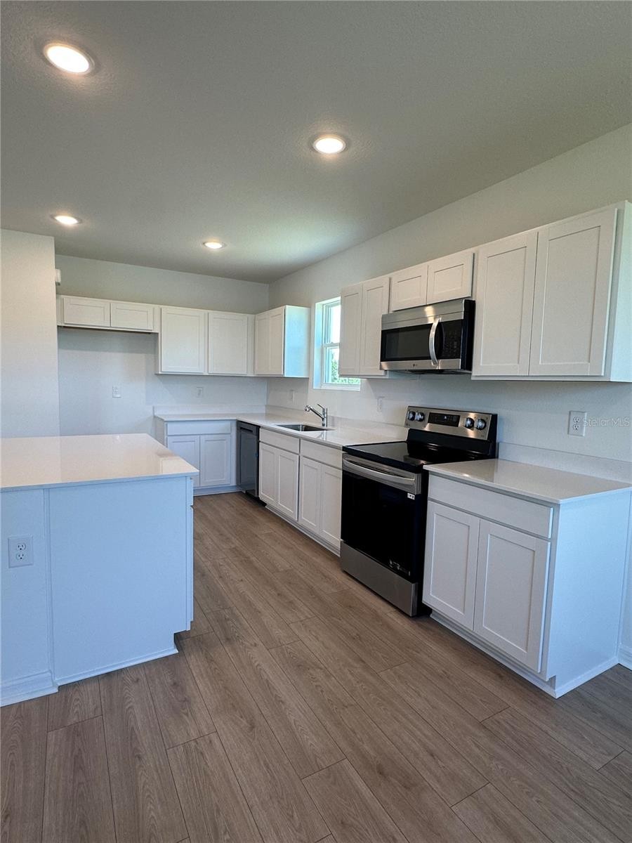 13242 SASSAFRAS TRIAL