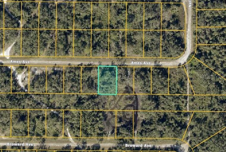 Lot #45 AMES AVE
