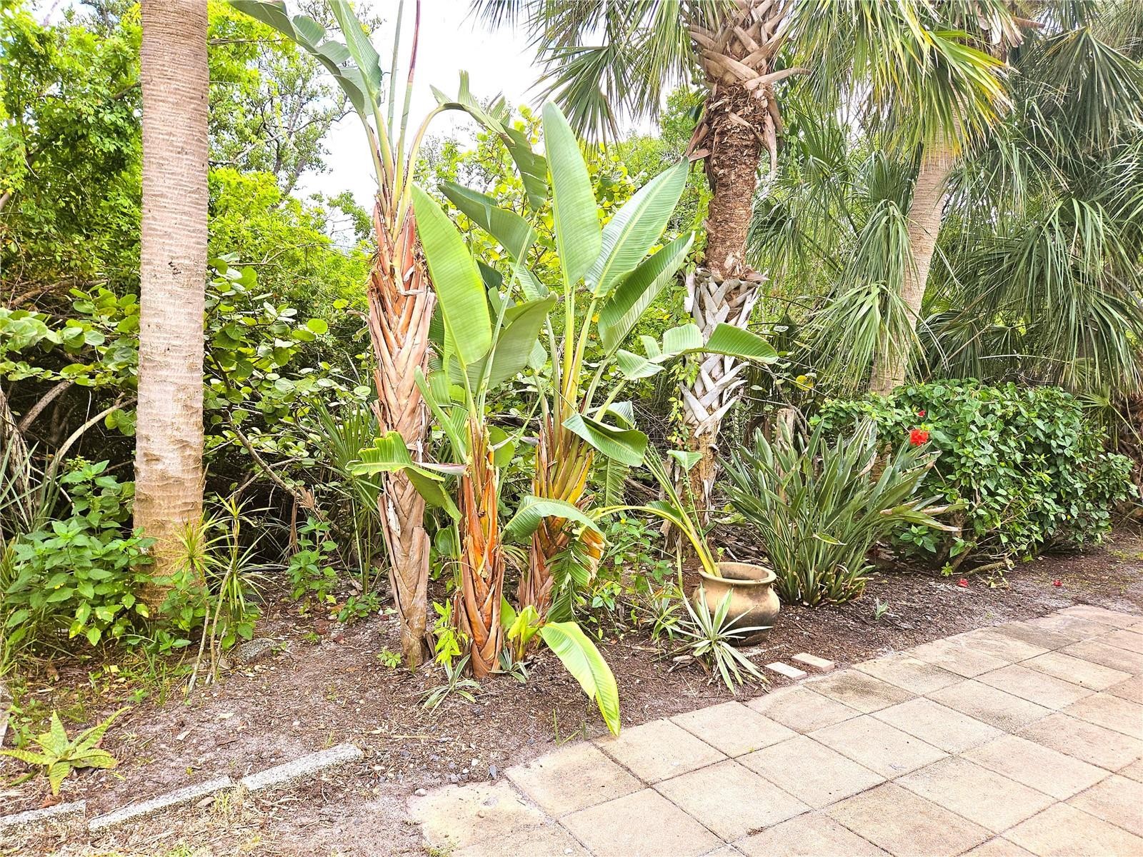 730 SPANISH DR S #99