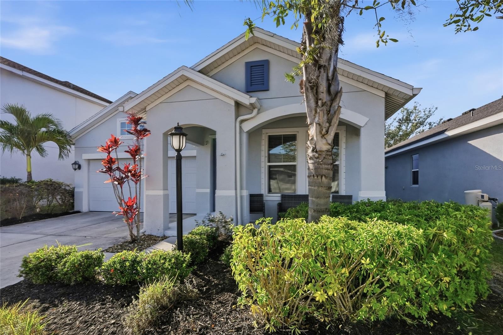 5542 SPANISH MOSS CV