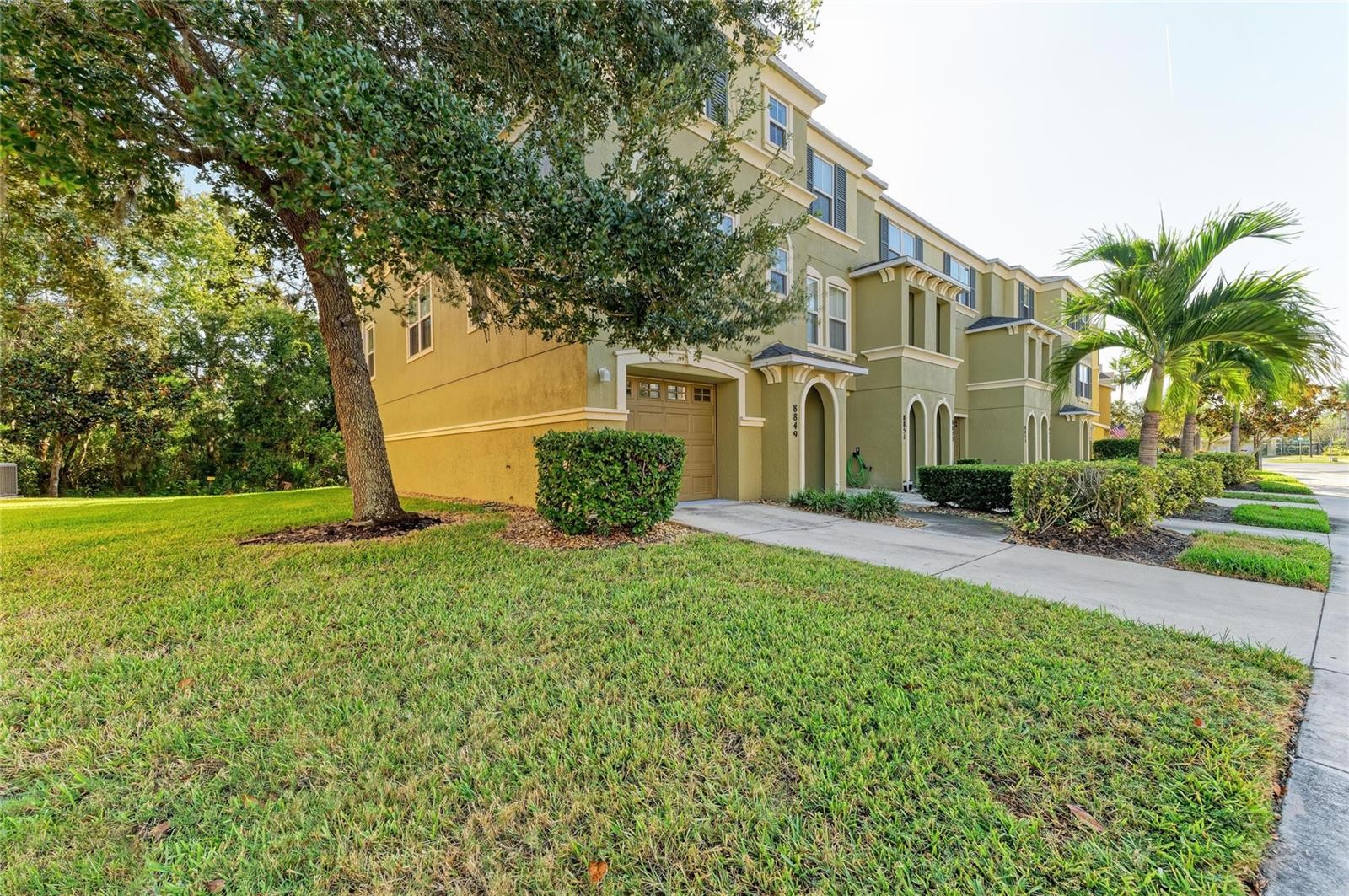 8849 WHITE SAGE LOOP #0