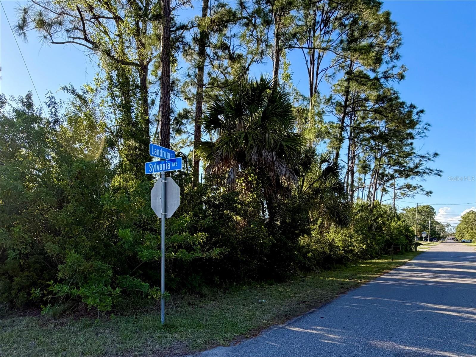 SYLVANIA AVE