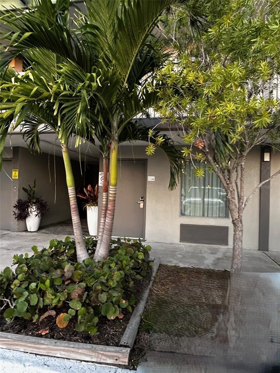 7150 N TAMIAMI TRL #S515