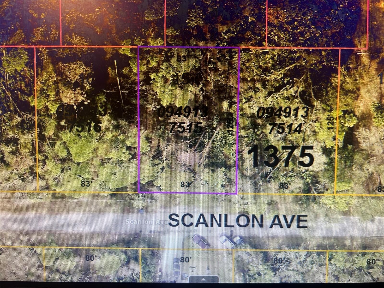 SCANLON AVE