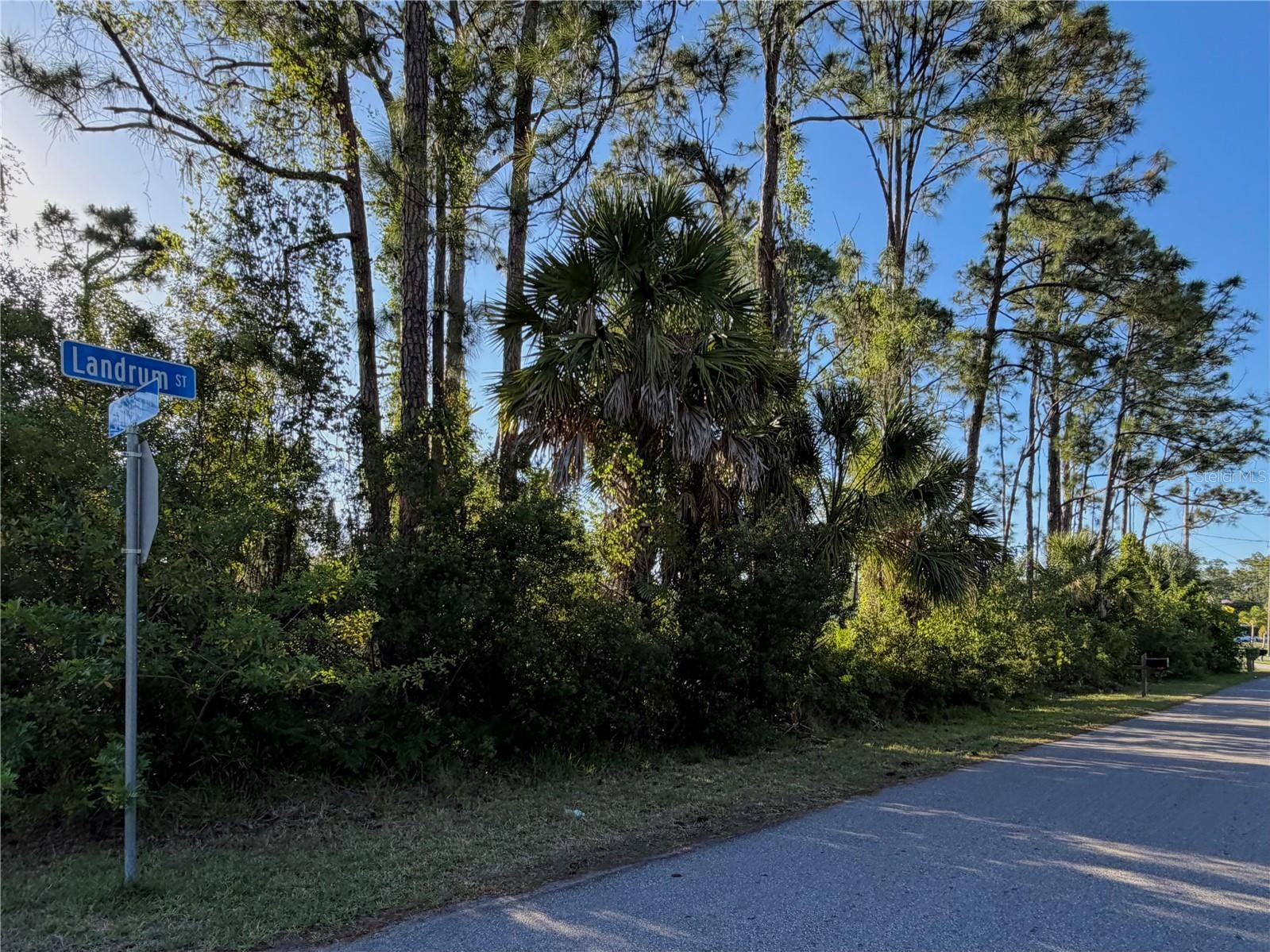 SYLVANIA AVE