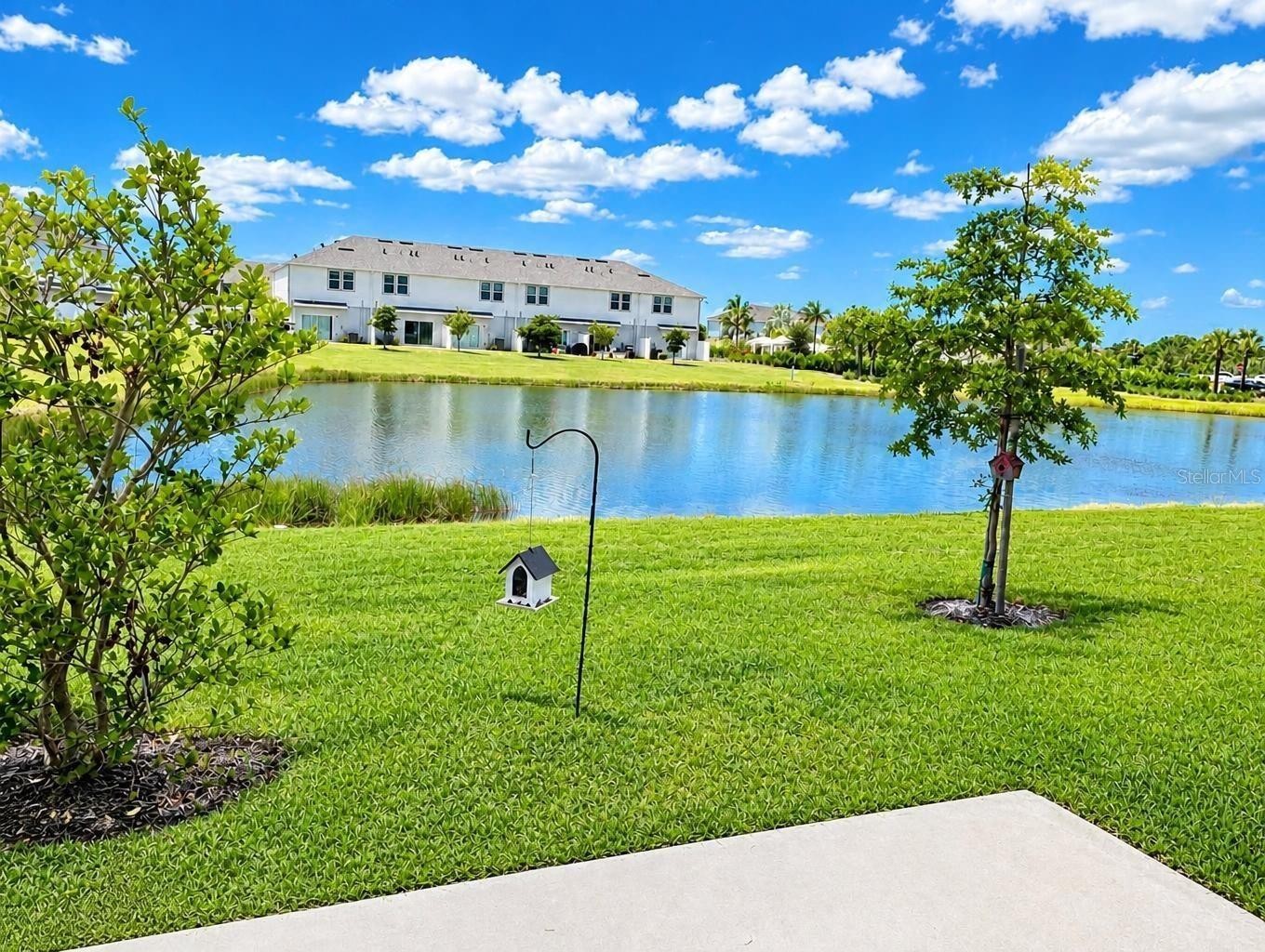 15169 CUZCORRO CT