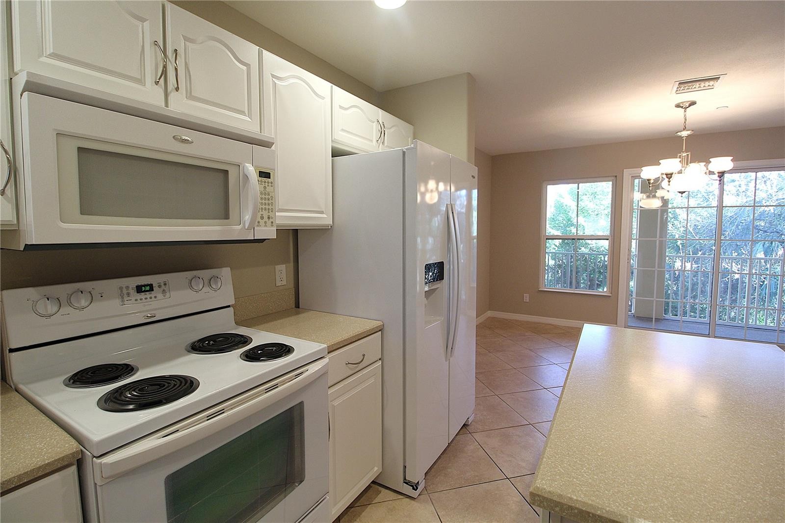 8805 WHITE SAGE LOOP