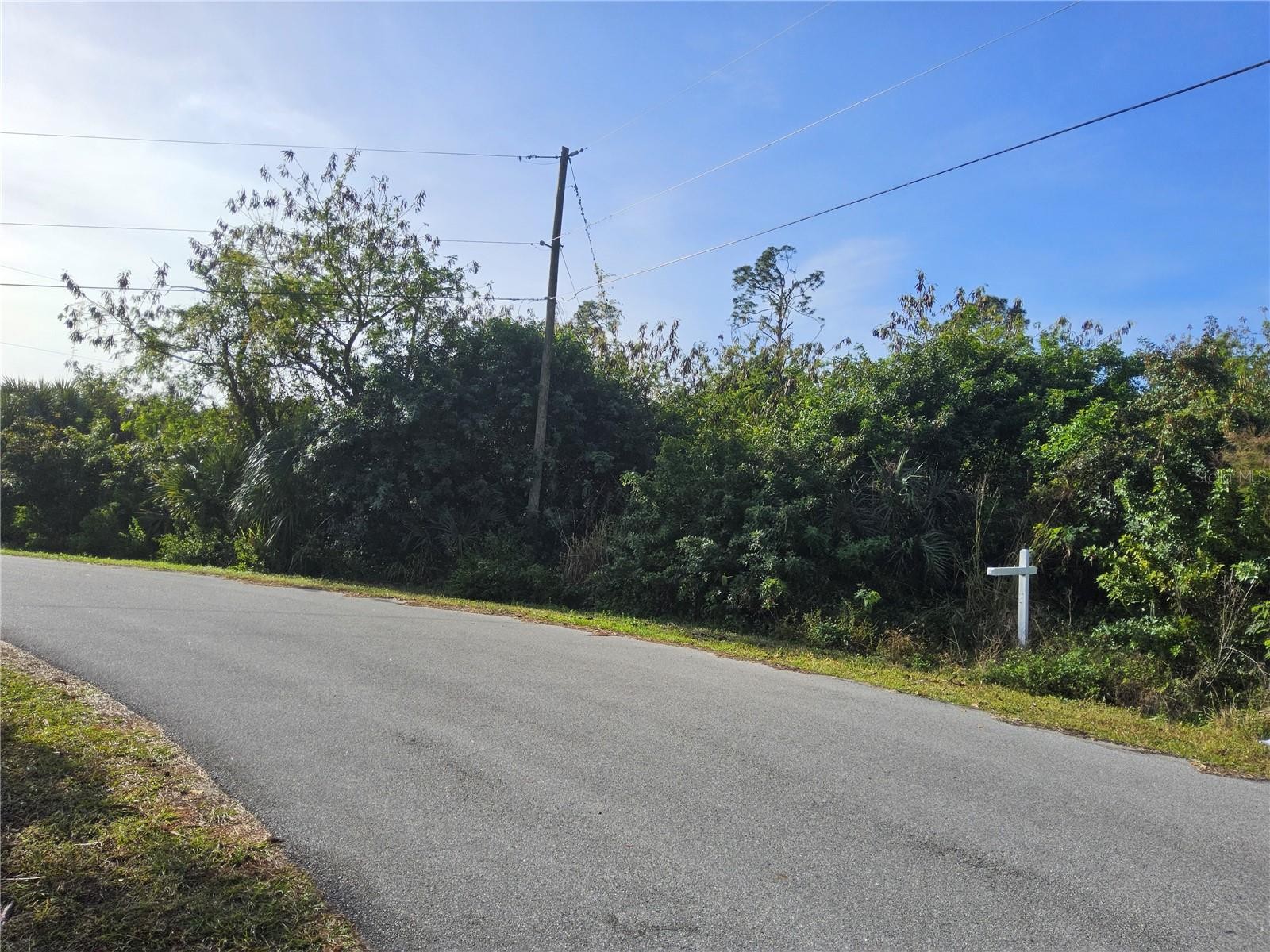 LOT 12 CAESAR RD